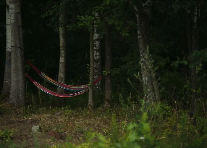 Place For Tent - Miejsce Na Namiot U Stop Natury